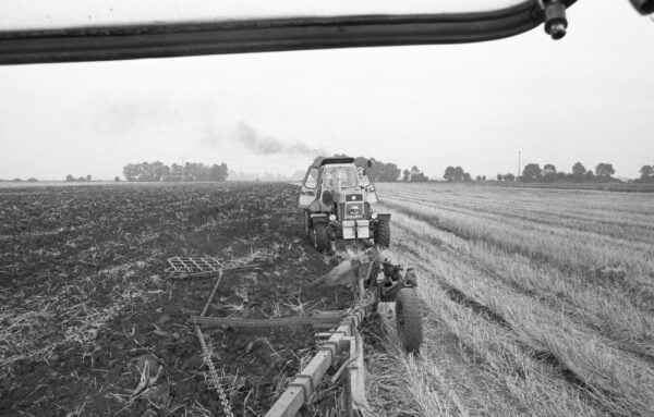 Ein historisches Foto vom Feld einer LPG. Bild: © Bundesstiftung Aufarbeitung