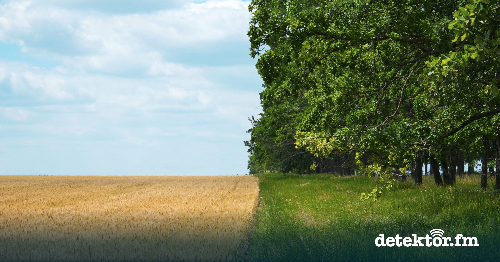 Forschungsquartett | Landwirtschaft – Multifunktionalität | detektor.fm